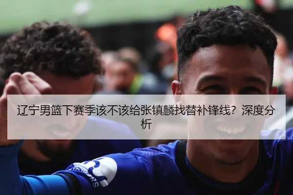 辽宁男篮下赛季该不该给张镇麟找替补锋线？深度分析